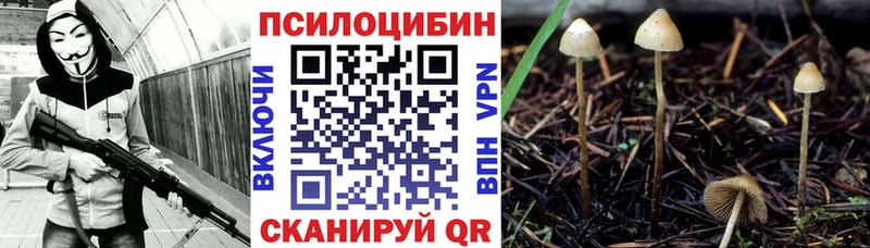 Псилоцибиновые грибы Psilocybe  blacksprut ТОР  Лыткарино  как найти закладки 