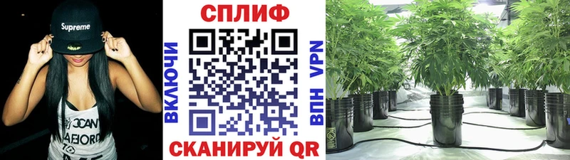Марихуана сатива  хочу наркоту  Лыткарино 
